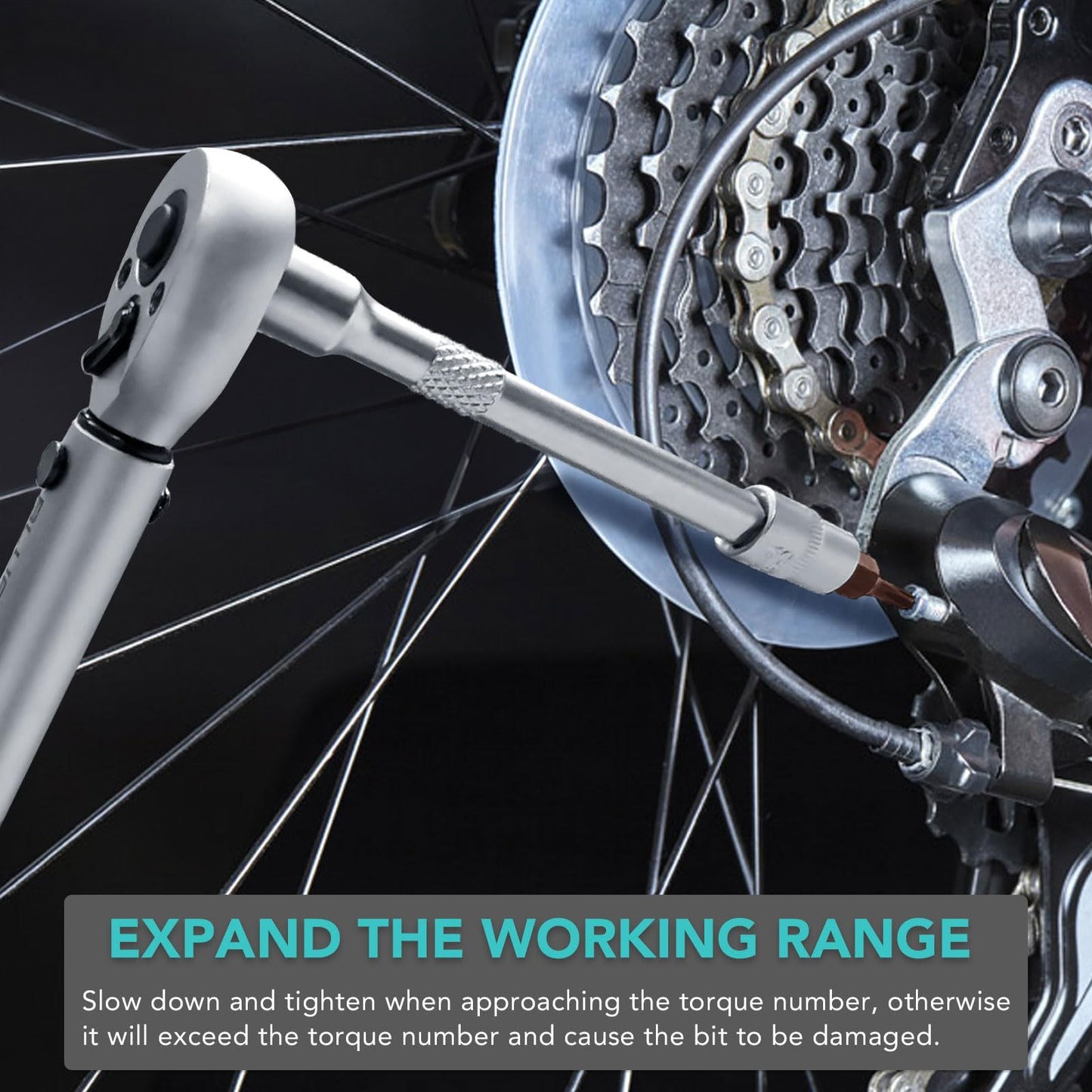 15-piece Bicycle Torque Wrench Set